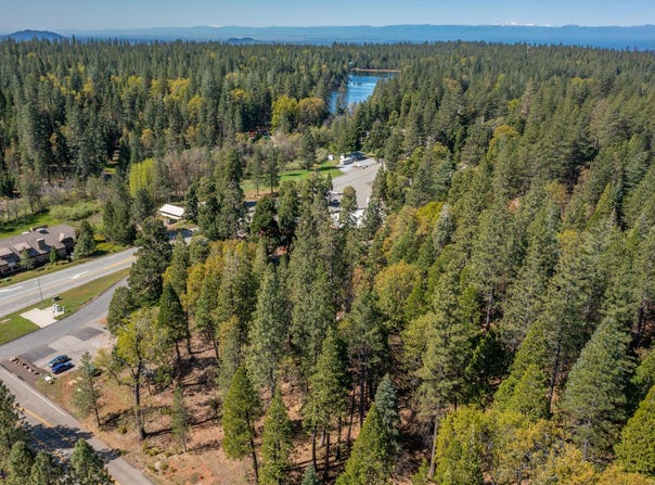 Emigrant Trail lot: 1, Shingletown, CA 96088