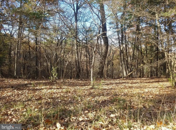 CRYSTAL VALLEY Drive, ROMNEY, WV 26757