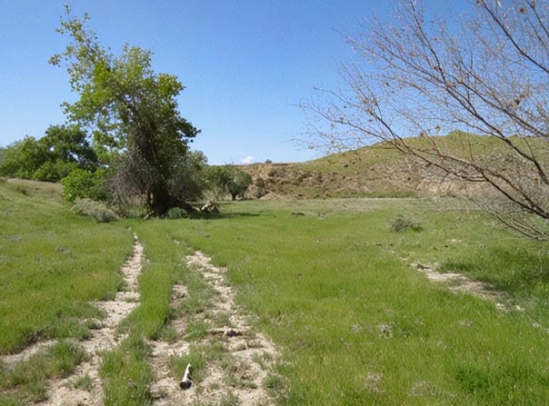 Hwy 198, Coalinga, CA 93210