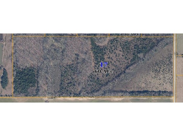 Prospect Road, Nettleton, MS 38858