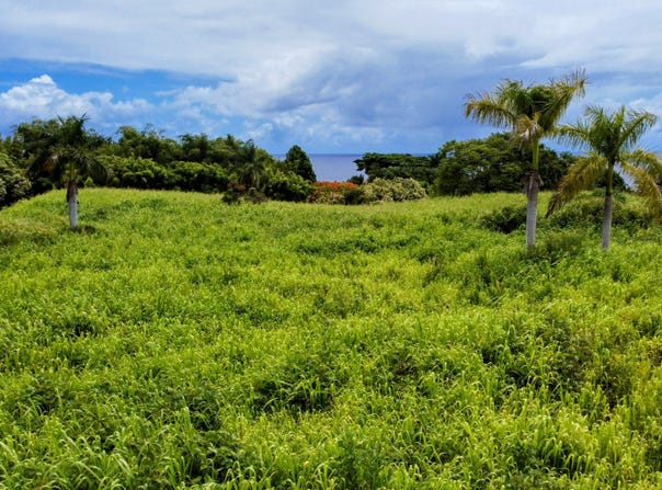 31-154 HAWAII BELT RD, Ninole, HI 96773
