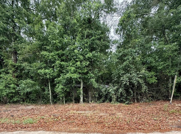 Alma Drive, North, SC 29112