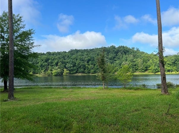 0 Covington Bridge Road, Fairmount, GA 30139