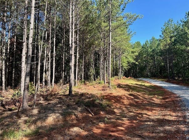 6 Patriot View, Dahlonega, GA 30533