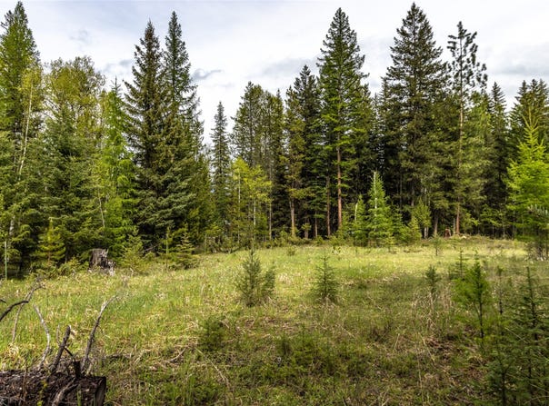 37 Soaring Eagle Trail, Fortine, MT 59918