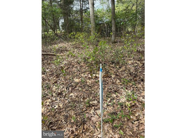 PARCEL 91 COOL SPRING, MARYDEL, MD 21649