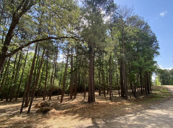 TBD Athens Church Road, Hallsville, TX 75650