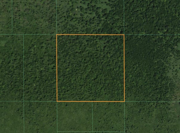 Lt1 State Highway 49 -, Pine River, WI 54965