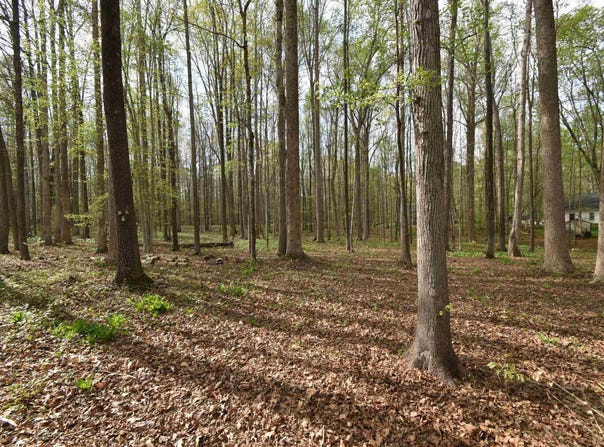 605 Canotage Court, Cedar Grove, NC 27231