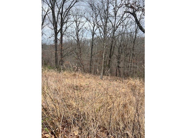 Sanquhar Lane lot: 14, Bella Vista, AR 72715