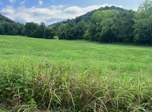 Lot 15 Long Hollow Acres, Burkesville, KY 42717