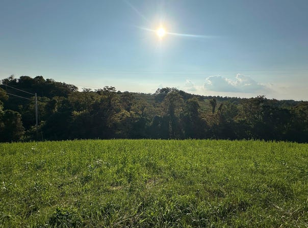 17a Bald Hill, Carlisle, KY 40311