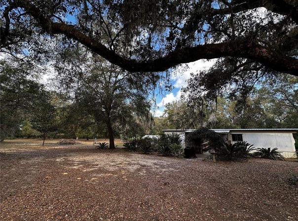 12212 NE 238TH TERRACE, SALT SPRINGS, FL 32134