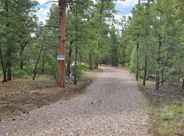 165 Mosswood Drive, Cotopaxi, CO 81223