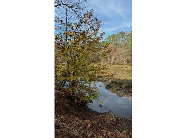 320 Watersedge Dr., Cross Hill, SC 29332