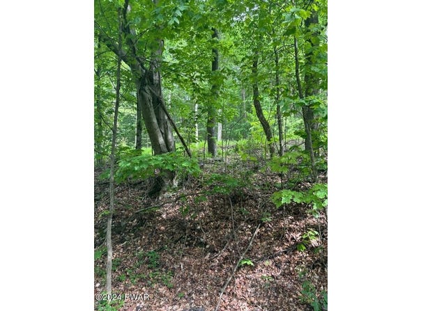 Lot #8 Mill Creek Road, Newfoundland, PA 18445