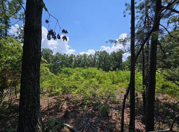 ELAM Way, Savannah, TN 38372