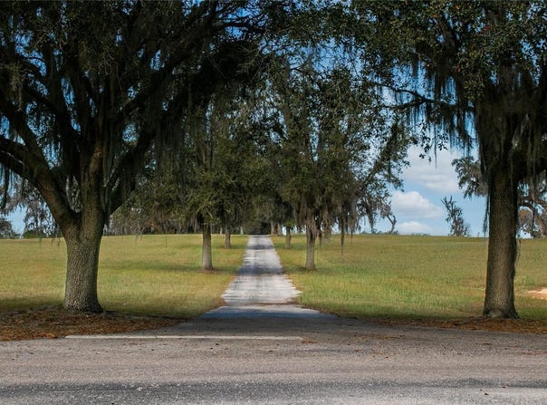 SE 157TH SREET ROAD, SUMMERFIELD, FL 34491