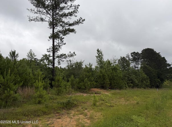 Shell Oil Road, Summit, MS 39666