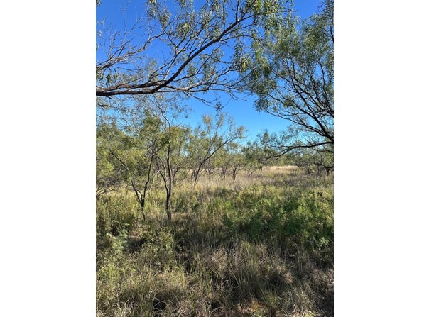 0 Fagan, Justiceburg, TX 79549