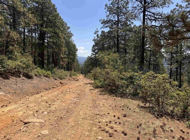 TBD Unit 3 Forest Lakes, Bayfield, CO 81122