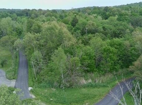Lewistown Church Rd, Princeton, KY 42445