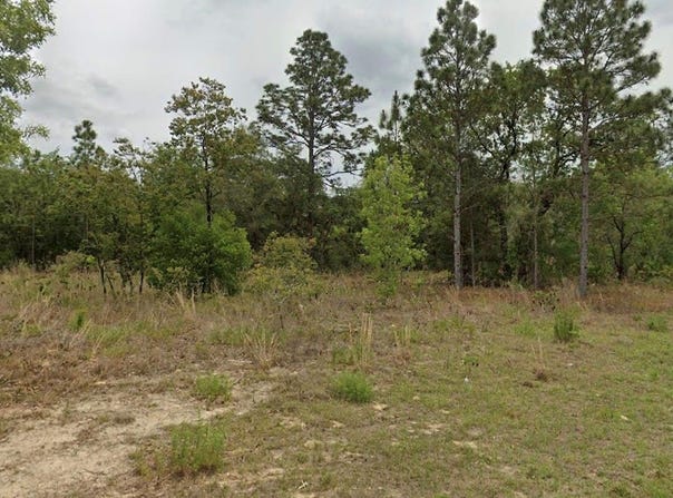 6505 N VARSITY AVENUE, CITRUS SPRINGS, FL 34434