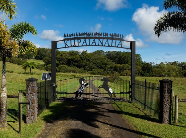 29-596 CHIN CHUCK RD, Hakalau, HI 96710