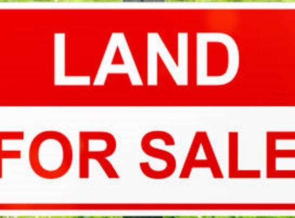 00 White St, Russellville, AL 35653