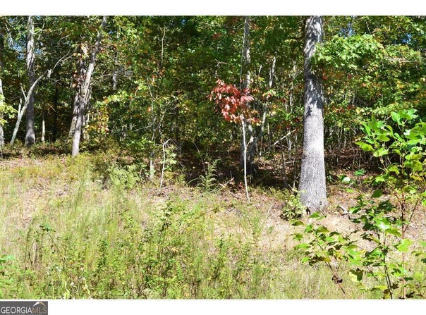 0 Hiawassee, Cleveland, GA 30528
