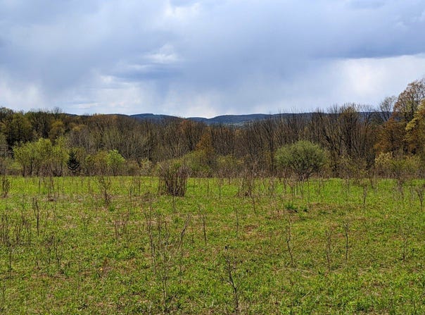 Lot #37.01 County Highway 4, Morris, NY 13808