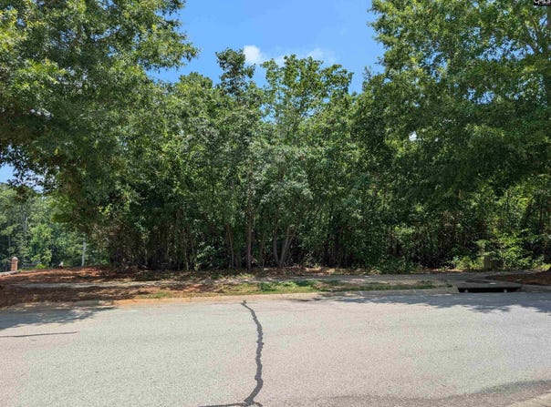 1060 Coogler Crossing Drive, Blythewood, SC 29016