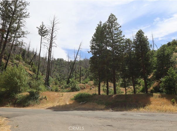 11231 Anderson Springs Road, Middletown, CA 95461