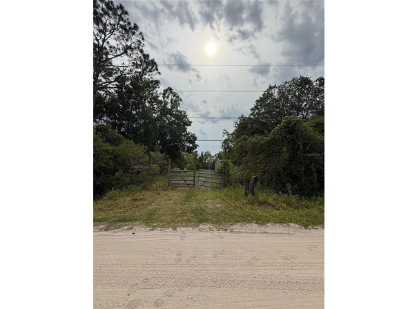 2060 HAZELNUT STREET, BUNNELL, FL 32110