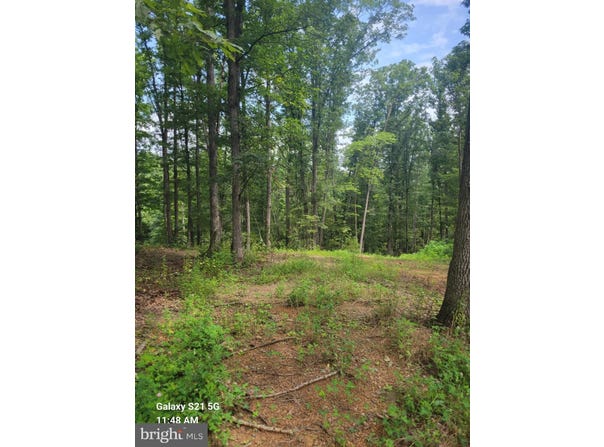 2.010 AC LOT 33, AUGUSTA, WV 26704