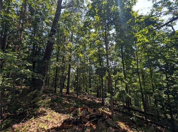 Canyon Village Road lot: 1, Rogers, AR 72756