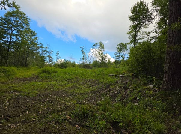 0WP Owego Hill Rd, Harford, NY 13803