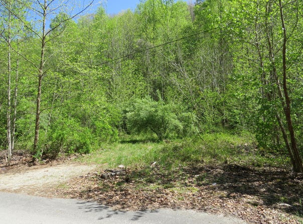 Trace Branch Road, Flat Lick, KY 40935