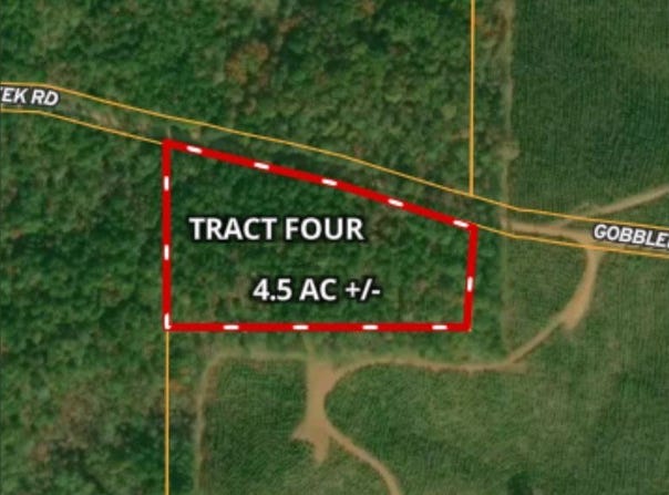 Tract 4 - Gobbler Creek Rd, Wedowee, AL 36278