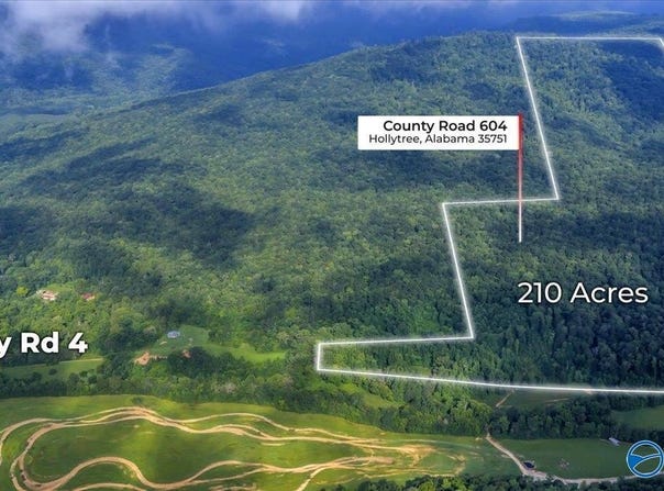 210 Acres County Road 604, Hollytree, AL 35751
