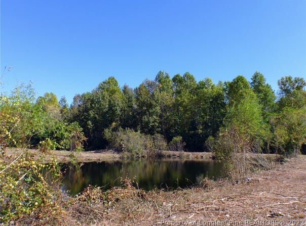 670 W Core Road, Dunn, NC 28334