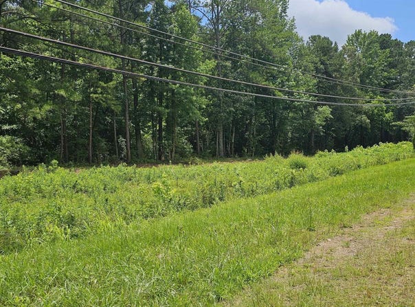 7737 HIGHWAY 75 lot: 1, PINSON, AL 35126