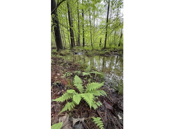 0 Sullivan Road, Dunlap, TN 37327