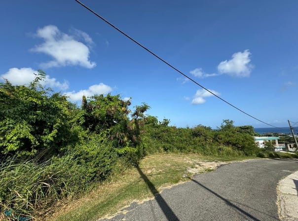 Membrillo, Camuy, PR 00627