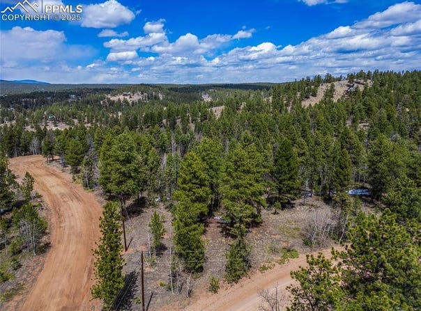 451 Chipeta Creek Trail, Florissant, CO 80816