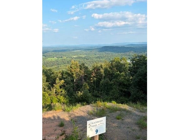 Widow Mountain Drive lot: #9, McGrady, NC 28649