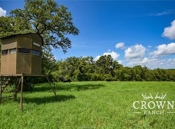 Tbd FM 908 (+/-1,057 acres), Caldwell, TX 77836
