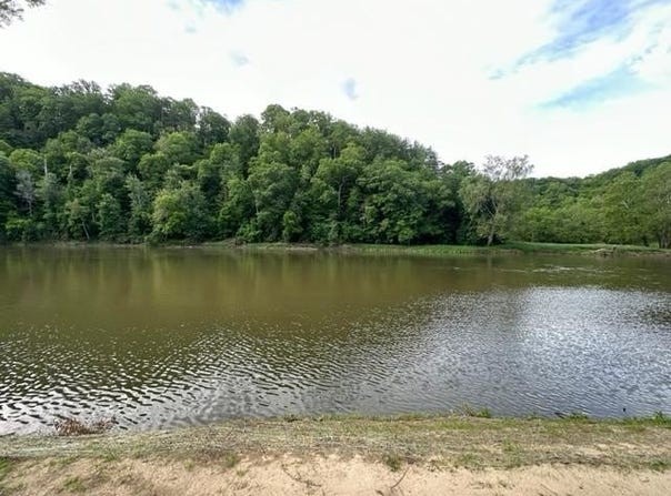 Tbd Pleasant Grove Rd., Independence, VA 24348