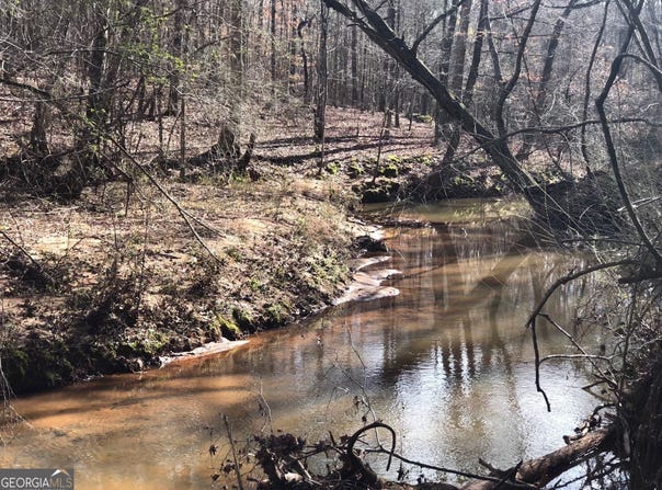 0 TRICE CEMETERY RD, HERITAGE, Thomaston, GA 30286