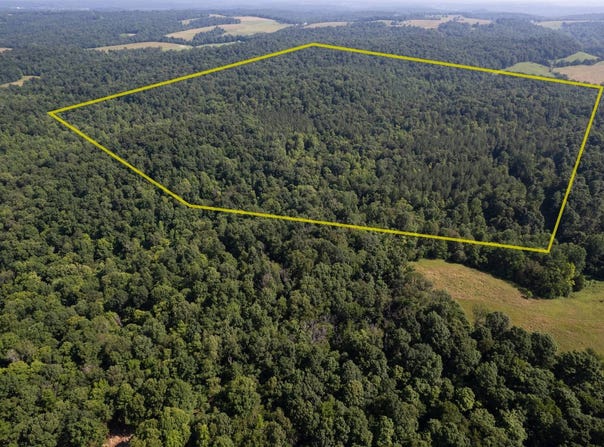0 Dan Station Road, Olaton, KY 42361
